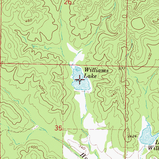 Topographic Map of Williams Lake, MS