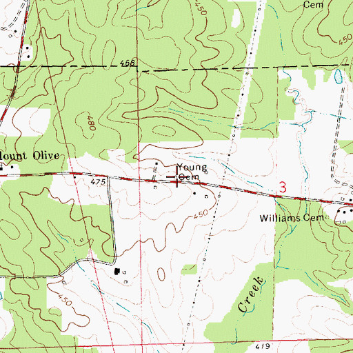 Topographic Map of Young Cemetery, MS