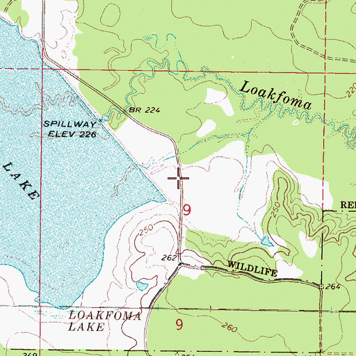 Topographic Map of Loakfoma Lake Dam, MS