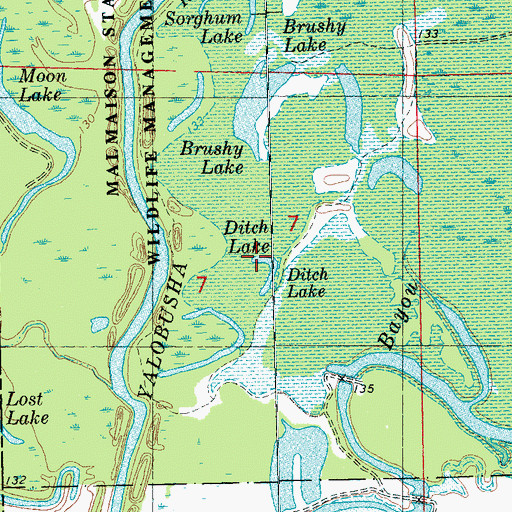 Topographic Map of Ditch Lake, MS
