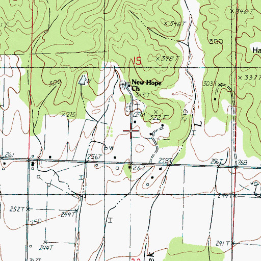Topographic Map of New Hope, MS