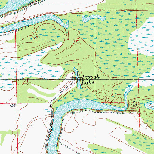 Topographic Map of Tippah Lake, MS