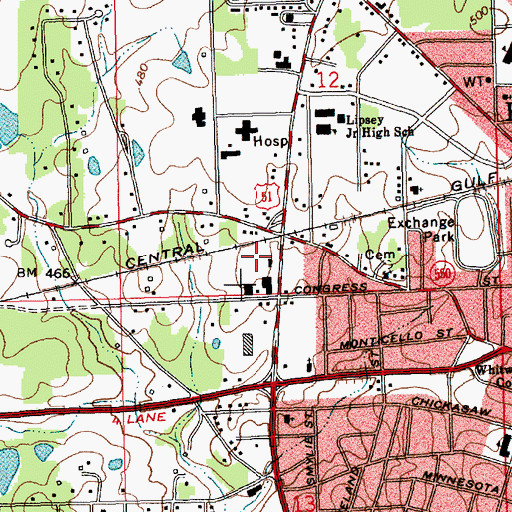 Topographic Map of Brookhaven Shopping Village, MS
