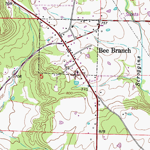 Topographic Map of Bee Branch Cemetery, AR