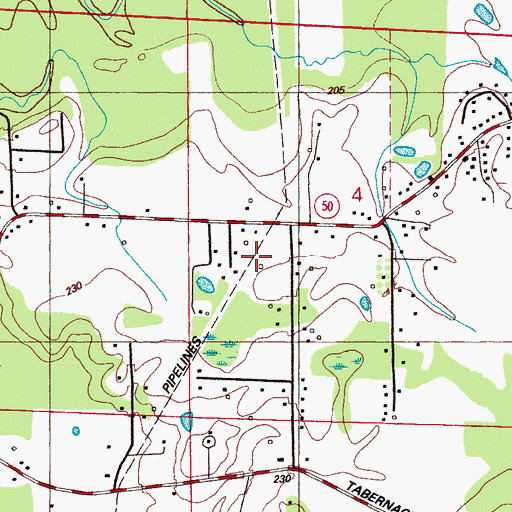 Topographic Map of Ellis Subdivision, MS