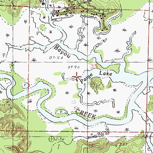 Topographic Map of Paige Lake, MS