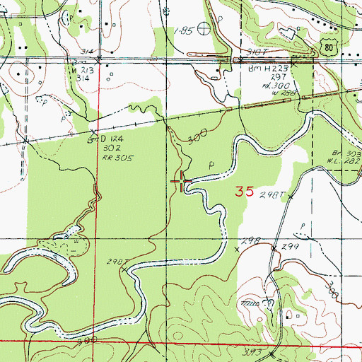 Topographic Map of Blue Branch, MS