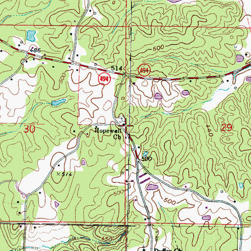 Topographic Map of Pine Ridge School (historical), MS