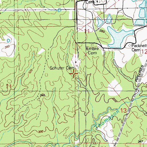 Topographic Map of Schuter Cemetery, MS