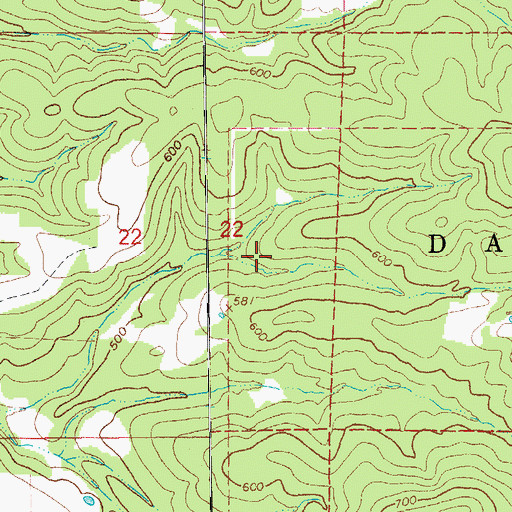 Topographic Map of Township of Davidson, AR