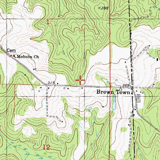 Topographic Map of Brown Town, MS