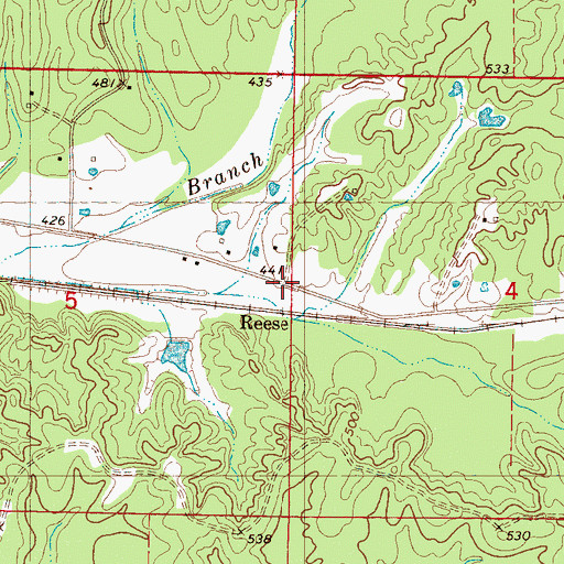 Topographic Map of Reese, MS