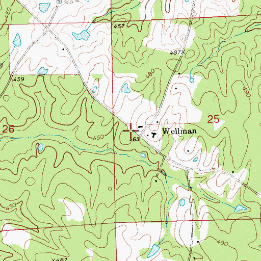 Topographic Map of Wellman, MS