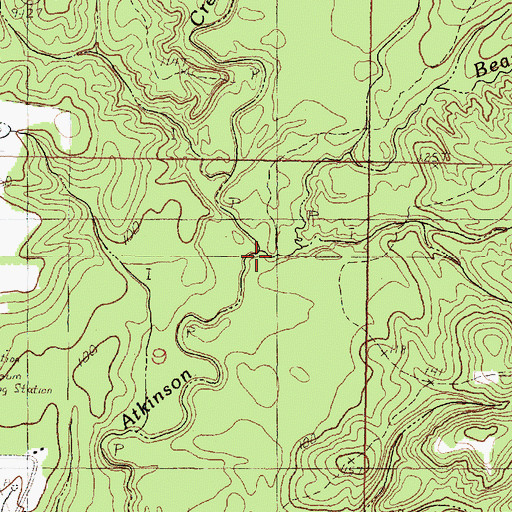 Topographic Map of Bear Branch, MS