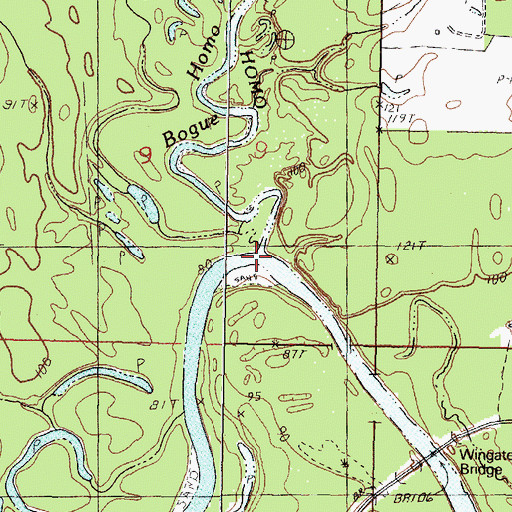Topographic Map of Bogue Homo, MS