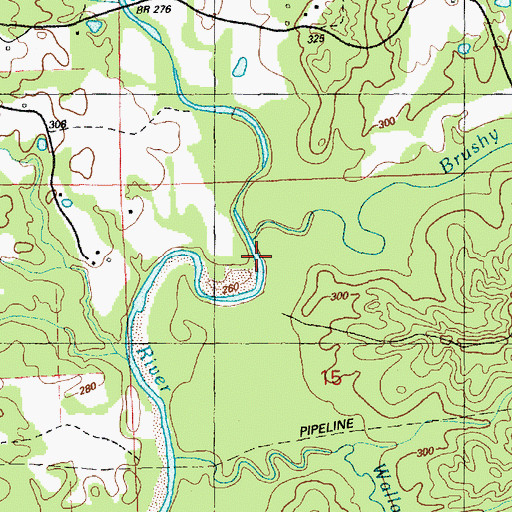 Topographic Map of Brushy Creek, MS