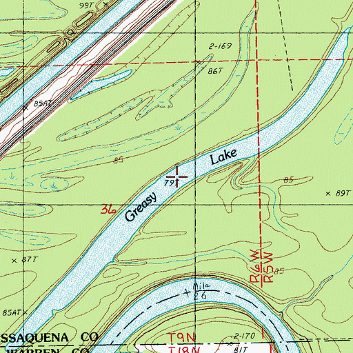 Topographic Map of Greasy Lake, MS