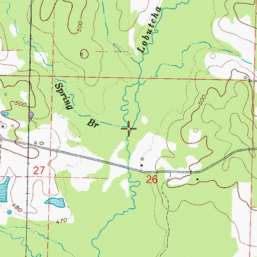 Topographic Map of Spring Branch, MS