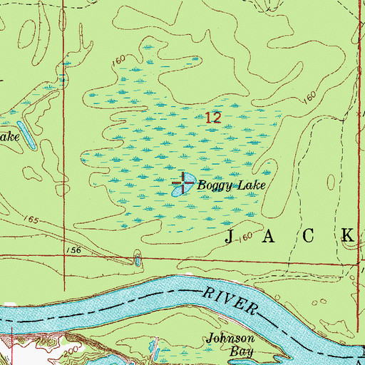 Topographic Map of Boggy Lake, AR