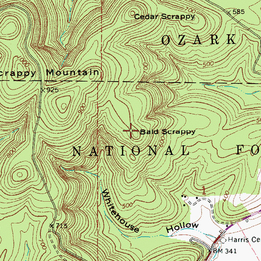 Topographic Map of Bald Scrappy, AR