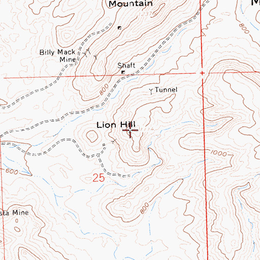 Topographic Map of Lion Hill, AZ