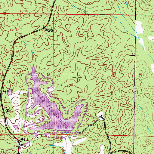 Topographic Map of Rayburnville (historical), MS