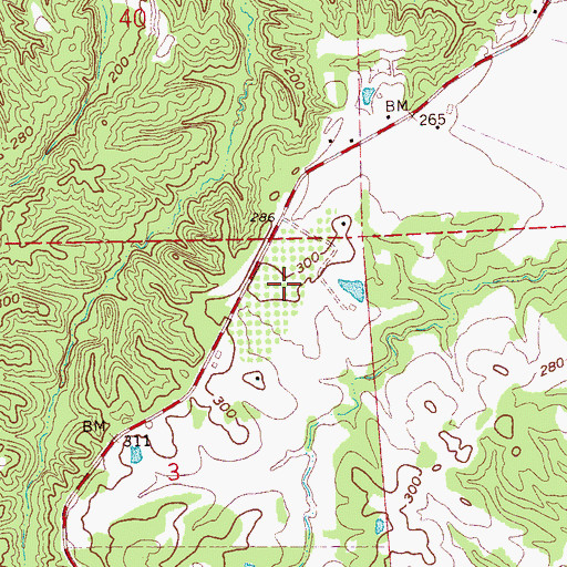 Topographic Map of Openwood Plantation, MS
