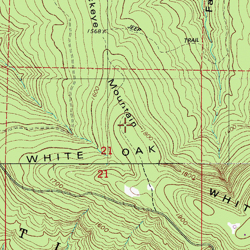 Topographic Map of Buckeye Mountain, AR