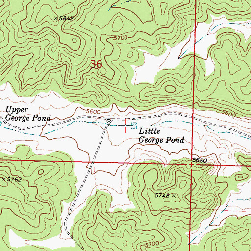Topographic Map of Little George Pond, AZ