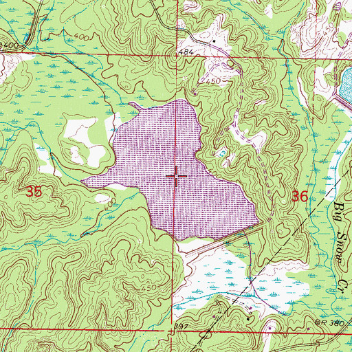 Topographic Map of Little Snow Lake, MS