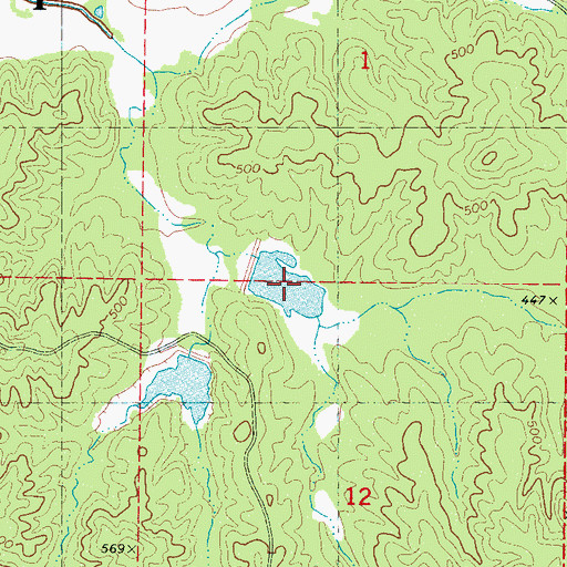 Topographic Map of South Chilli Lake, MS