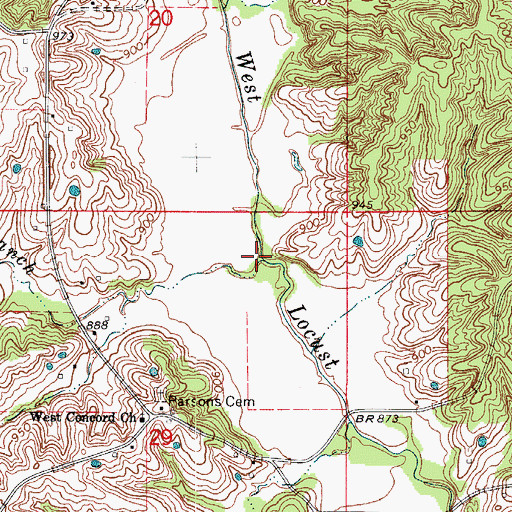 Topographic Map of Badger Branch, MO