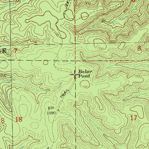 Topographic Map of Baker Pond, MO