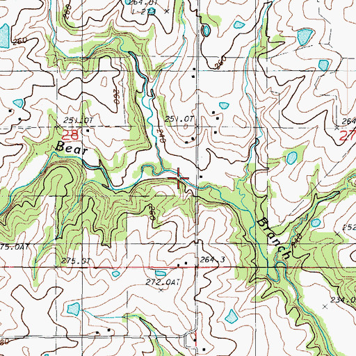 Topographic Map of Bear Branch School, MO