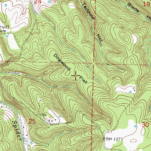 Topographic Map of Dogwood Flat, AR