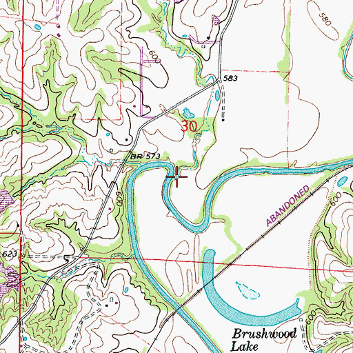 Topographic Map of Black Branch, MO