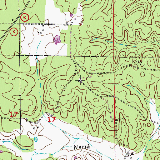 Topographic Map of Black Valley School, MO