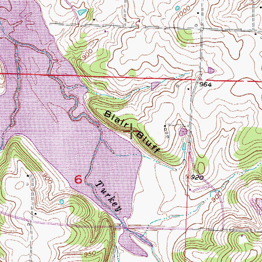 Topographic Map of Blair Bluff, MO