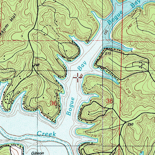 Topographic Map of Bogue Bay, MO