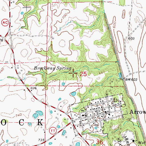 Topographic Map of Brockway Spring, MO
