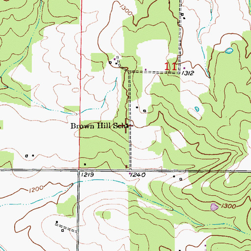 Topographic Map of Brown Hill School, MO