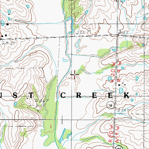 Topographic Map of Brushy Branch, MO