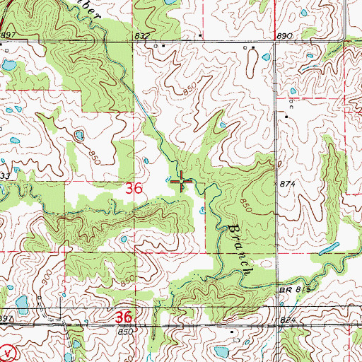 Topographic Map of Brushy Fork, MO