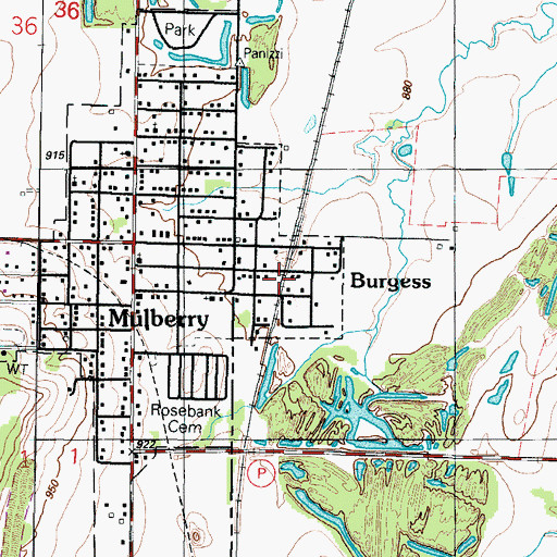 Topographic Map of Burgess, MO
