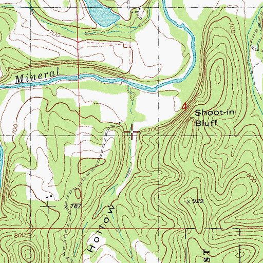 Topographic Map of Burgowich Hollow, MO