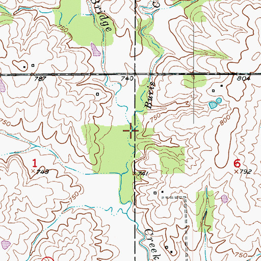 Topographic Map of Buris Creek, MO
