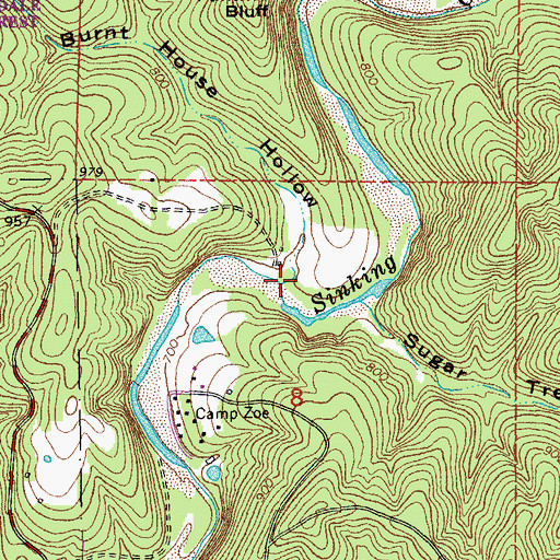 Topographic Map of Burnt House Hollow, MO