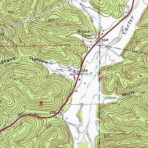 Topographic Map of Buzzard Hollow, MO