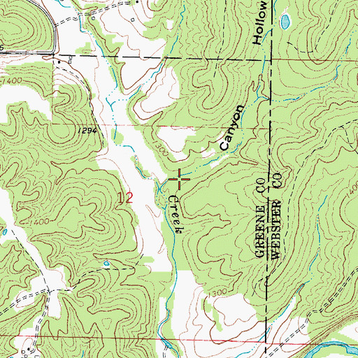 Topographic Map of Canyon Hollow, MO