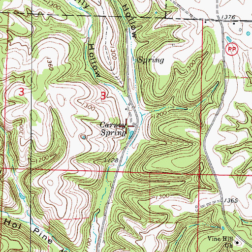 Topographic Map of Carney Spring, MO